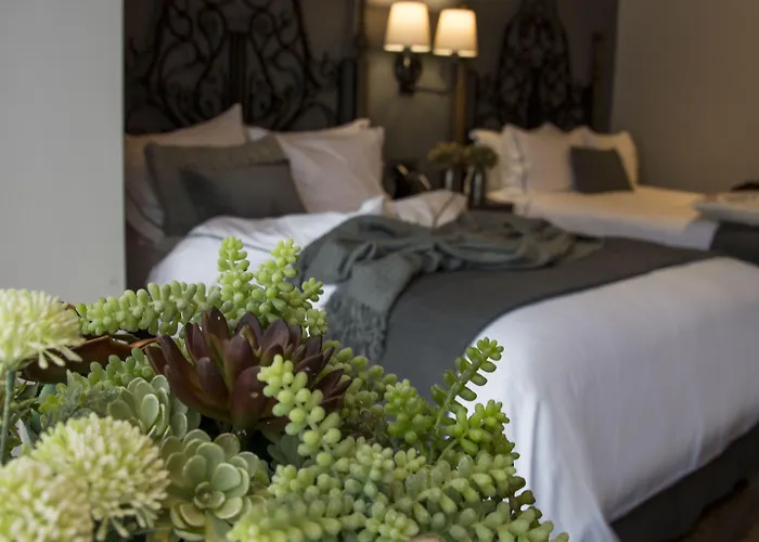 Zocalo Hotel